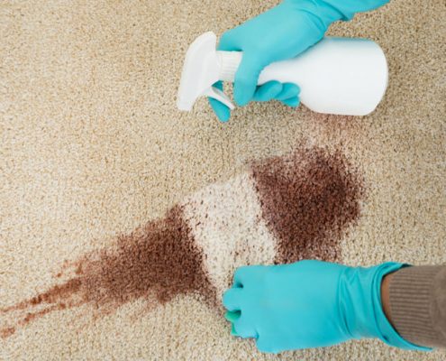 kent carpet cleaners covering broadstairs, canterbury, deal, dover, faversham, folkestone, herne bay, hythe, margte, sandwich, thanet, ramsate and whitstable