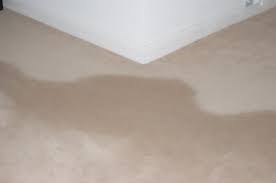permanent pile reversal shading of carpet